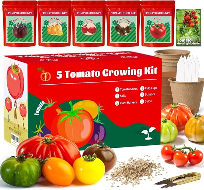 5 Tomato & Tomatillo Garden Seeds Variety Pack - Non-GMO Heirloom Tomato & Tomatillo Seeds with Planting Tools, All-in-One Growing Kit for Christmas Gift & Indoor Home Gardening