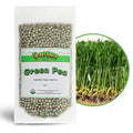 The Sprout House Green Peas - Organic Green Peas for Sprouting or Cooking, High Germination, Non-GMO, Resealable Bag for Freshness, Perfect for Salads, Shoots, & Healthy Recipes, 1LB Green Pea Seeds
