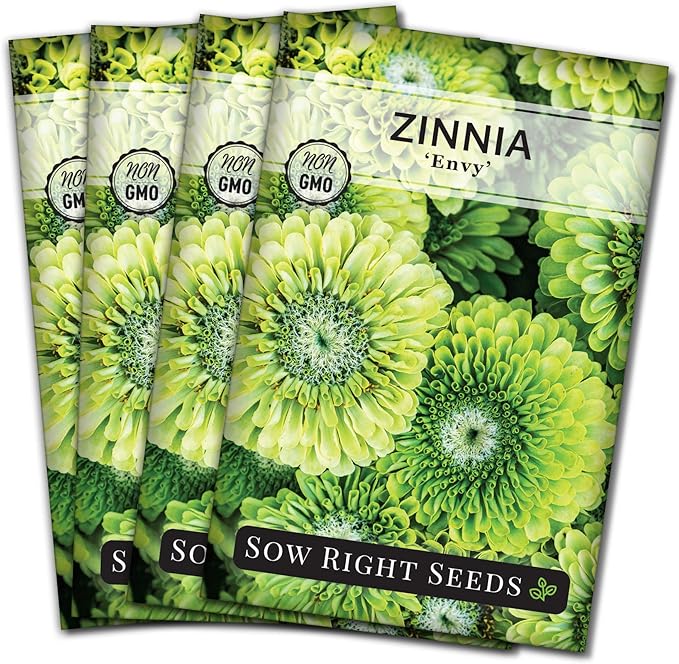 Sow Right Seeds - Zinnia Envy Flower Seeds for Planting - Beautiful Flowers to Plant in Your Garden - Non-GMO Heirloom Seeds - Chartreuse Green Variety - Attract Pollinators - Giant Cut Flower (4)