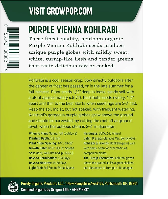 Organic Kohlrabi Seeds (Purple Vienna) - Approx 500 Seeds - USDA Organic, Non-GMO, Open Pollinated, Heirloom