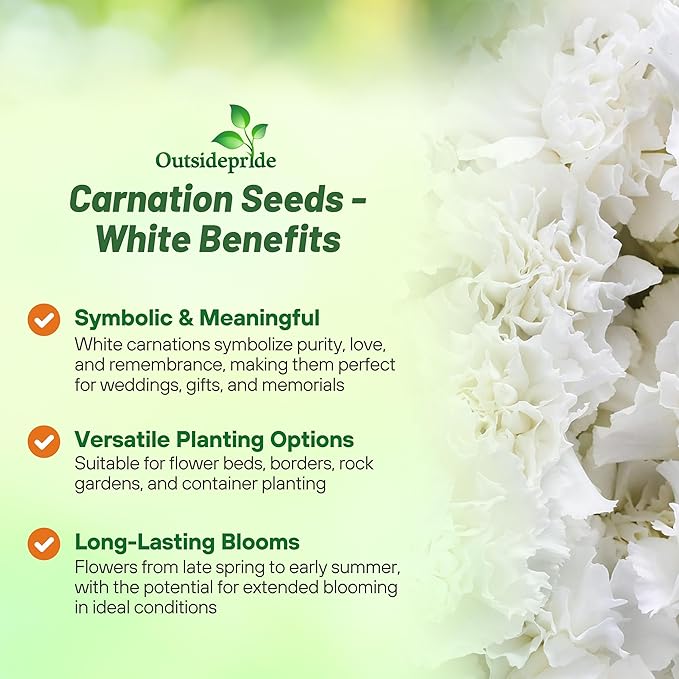 Outsidepride White Carnation Seeds - 1000 Pcs Biennial, Easy to Grow Flower Seeds for Planting with Fragrant Blooms, Ideal for Pollinators, Cutting Gardens, Bouquets, & Floral Arrangements