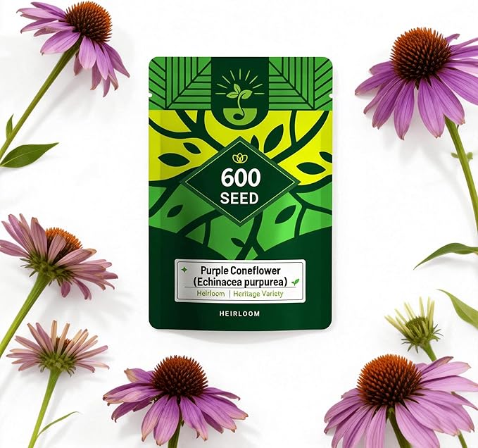 Purple Coneflower Seeds (Echinacea purpurea), Hardy Native Perennial Flowers, Long Flowering Period, Great for Making Cut Flowers, Borders Prairie Garden Planting, Pack of 600 Seeds