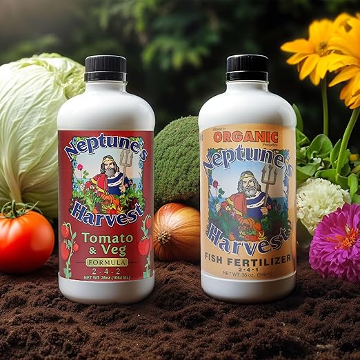 Neptune's Harvest Organic Plant Fertilizer | Liquid Fertilizer for Lawn, Garden & Houseplant | Rich in Essential Nutrients | Hydrolyzed Fish 2-4-1 (Quart) + Tomato & Veg Plant Food 2-4-2 (Quart)