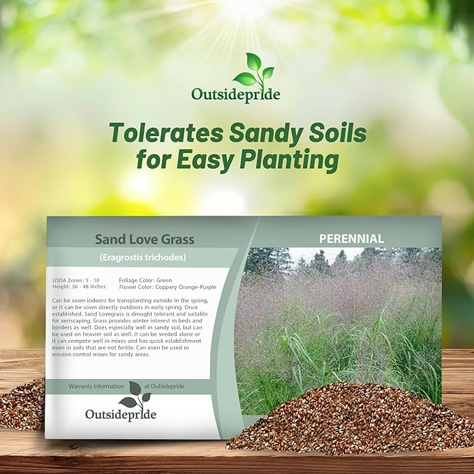 Outsidepride Sand Love Grass Seeds - 10,000 Pcs. Perennial, Easy to Grow, Drought-Tolerant, Tall Ornamental Grass, Thrives in Sandy Soil, Wind & Erosion Control for Landscaping, Year-Round Beauty