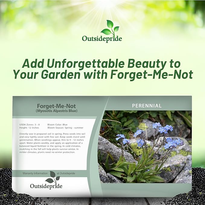Outsidepride Blue Forget Me Not Seeds - 10000 Pcs Low Growing, Self-Sowing Perennial Flower Seeds for Planting Dense Blue Blooms & Upright Growth Habit for Meadows, Pollinator & Cottage Gardens