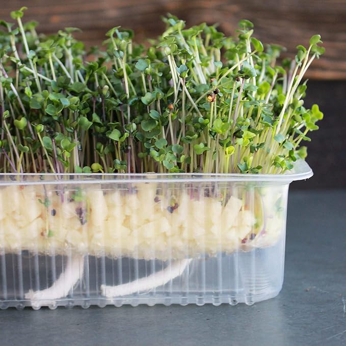 Micro Mat Hydroponic Confetti - 1.5 Lb Bag - Compostable Grow Medium for Microgreens & Wheatgrass - High Water Holding Capacity - 1 Lb Expands to 6.5 Quarts of Growing Media