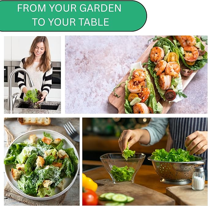 Woods Creek Seeds: Buttercrunch Heirloom Lettuce Seeds for Planting - Over 2,700 Non-GMO Seed Pack for Indoors, Outdoors, or as Hydroponic Seeds - Beginner-Friendly Green Leaf Lettuce Seed