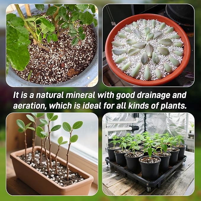 3 Quarts Perlite for Plant Soil - Amendment for Potting Soil, Improves Drainage and Aeration for Soil,Better for Root Growth (1/4 inch)