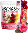 HOME GROWN Hollyhock Chaters Double Mix 2400 Seeds – Holly Hocks Seeds for Planting Spring 2026, Double Flower Hollyhock Seeds, Flower Seeds Perennial Outdoor Garden (Alcea rosea)