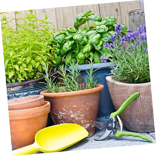 Milisten Fertilizer Box Set of 20 Plastic Bonsai Planting Fertilizer Containers with Tip Design for Easy Insertion and Long Service Life