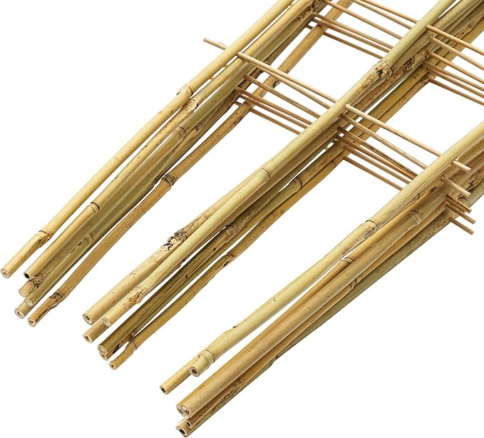 10 Pack 3 Feet Natural Bamboo Trellis, Fan-Shaped Bamboo Plant Trellis for Climbing Plants, Vegetables, Cucumber, Tomato, Outdoor and Indoor Potted Plants