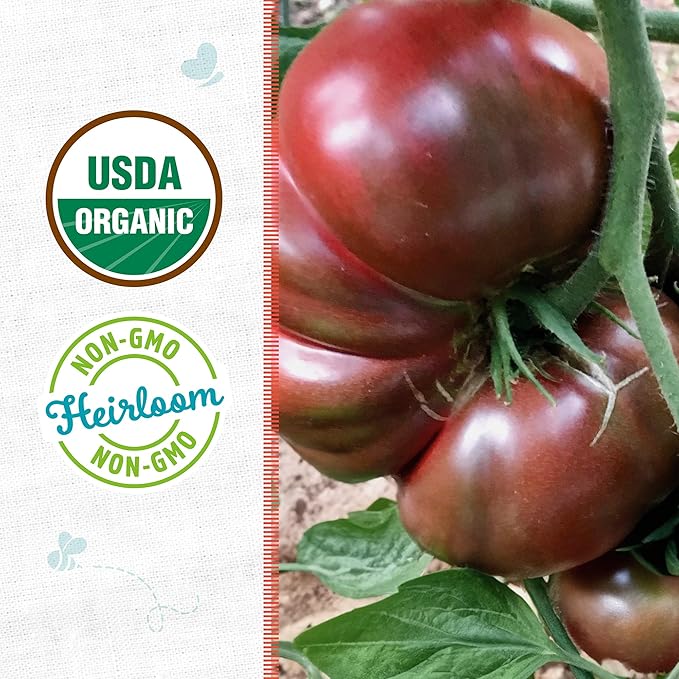 Back to The Roots 100% Organic Seed Packet - Tomato 'Cherokee Purple' 100mg