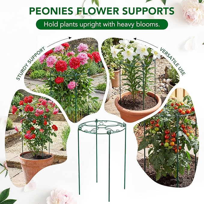 6 Pack 16 x 30 Inch Peony Cages and Supports, 16" D x 30" H Grow Through Plant Support Grid Brace for Outdoor Plants Flower, Metal Peony Stake Peony Ring Hoops Frame Support for Rose Tomato Vegetables