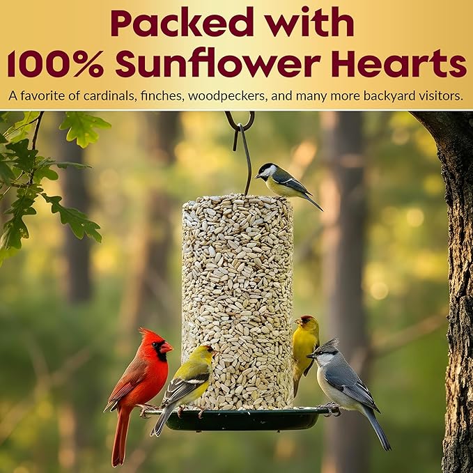 100% Sunflower Hearts for Birds – Premium Bird Seed Cylinders with Hole – Hulled Sunflowers Bird Seed – Sunflower Chips for Birds - Attracts Various Songbirds – No Mess Birdseed, USA Made (4" x 7.75")