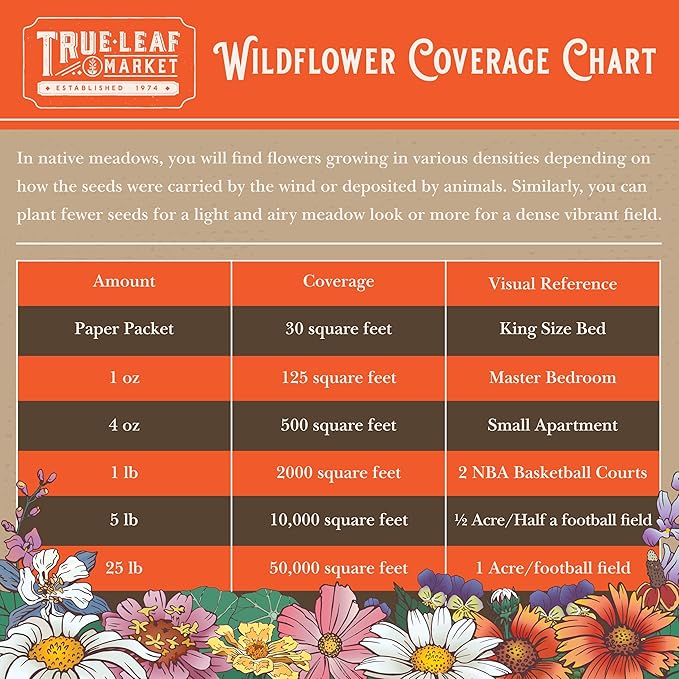 Bulk Wildflower Seeds - California Pollinator Mix – 1/4 LB (~160,000 Seeds) – Non-GMO Annual & Perennial Flower Blend – Native Blooms for Landscaping, Bees, Bouquets