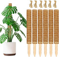 JJGoo Moss Pole for Plants Monstera,【6 Pack】 17 inch Plant Support Pole, Extendable Coir Totem Pole for Potted Plants Pothos, Train Indoor Climbing Plants to Grow Upwards