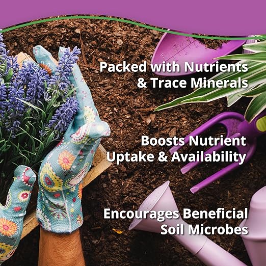 Kelp Bliss (1lb) - Kelp Meal Organic Fertilizer for Plants, Garden Soil, Flowers, Vegetables, & Lawns - Organic Kelp Fertilizer & Soil Amendment - 100% Natural Plant Food Rich in Vitamins & Nutrients