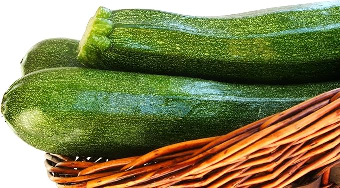 Seeds4planting - Seeds Zucchini Skvorushka Bush Green