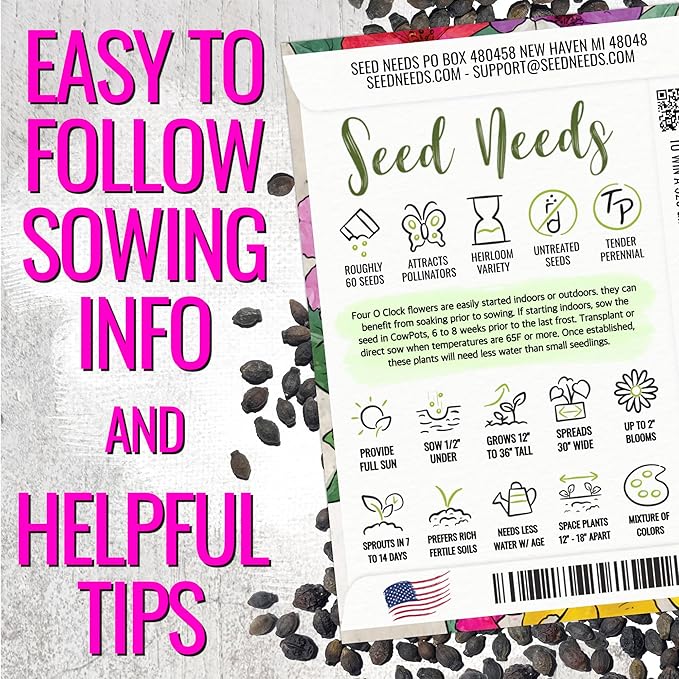 Seed Needs Four O Clock Seeds for Planting Mixed Flowers - Heirloom & Open Pollinated Annual Wildflowers to Attract Butterflies to a Butterfly Garden (1 Pack)