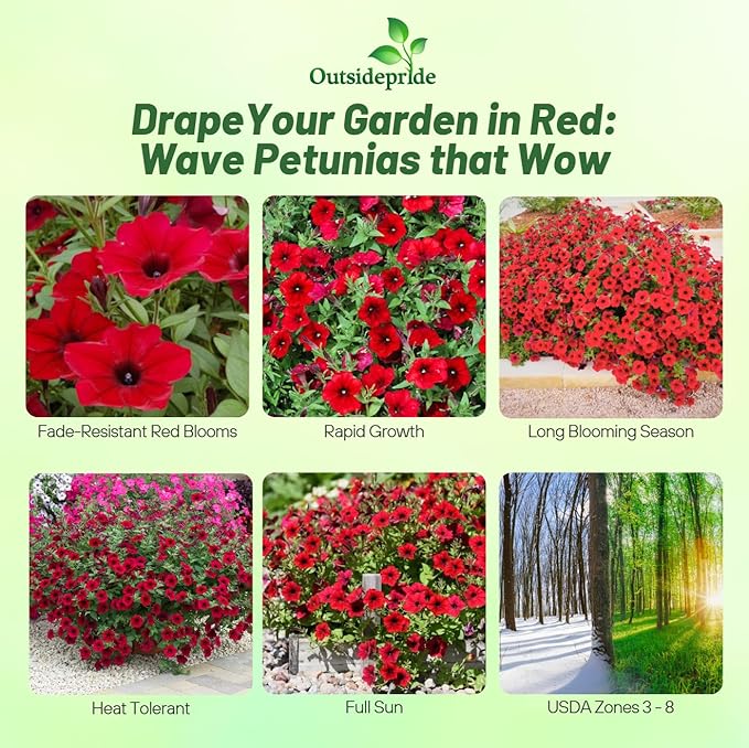Outsidepride Red Velour Tidal Wave Petunia Seeds - 30 Pcs Annual, Vibrant Blooms, Spreading Petunia Seeds for Planting Outdoors, Ideal for Pollinator-Friendly Garden Beds & Containers (AAS Winner)