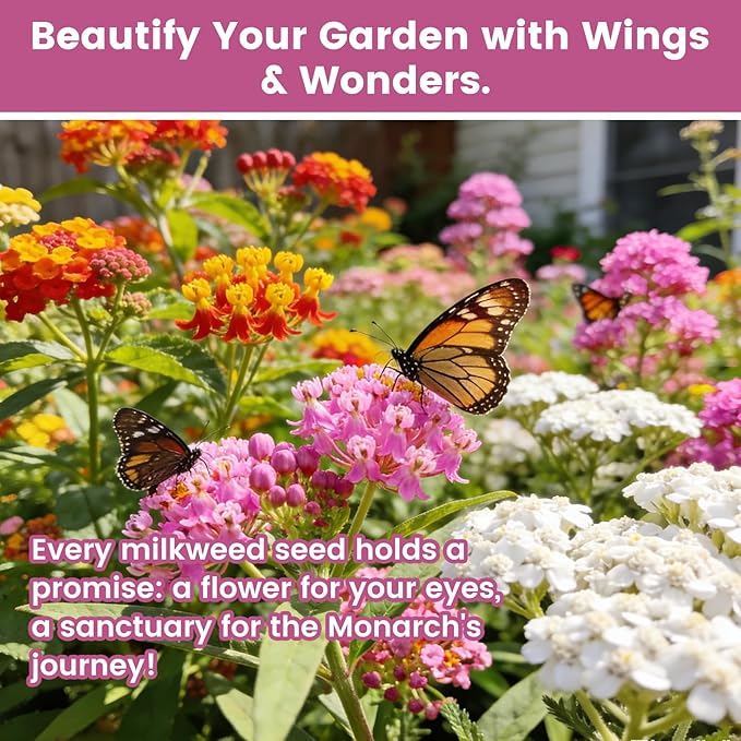 Milkweed Seeds Mix for Monarch Butterflies - Fruivity 5 Varieties Perennial Wildflower Milkweed Seeds Non-GMO Butterfly, Common, Showy, Pink Swamp & White Swamp - Flower Seeds for Pollinator Garden