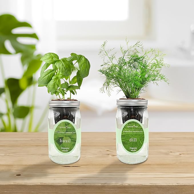 2-Pack Hydroponic Mason Jar Herb Garden Kit, Indoor Herb Garden Self-Watering Starter Kit (Basil,Dill)