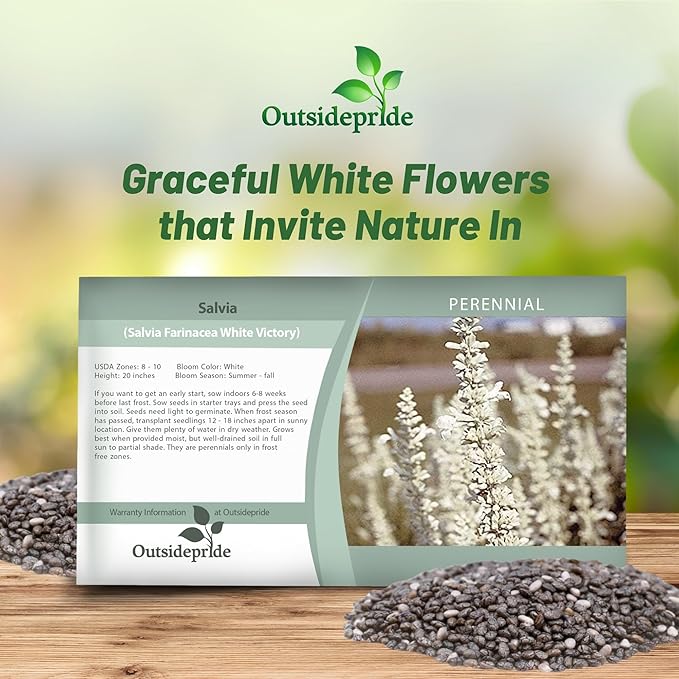 Outsidepride White Victory Salvia Seeds - 2000 Pcs Perennial, Compact, Heavy Blooming & Drought-Tolerant Sage Seeds for Planting Fragrant White Blooms for Butterfly & Hummingbird Gardens & Landscaping