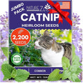 NatureZ Edge Catnip Seeds for Planting, 2200+ Herb Seeds, Indoor or Outdoor Growing, Cat Nip Seeds, Your Cat Will Love Them, Non-GMO