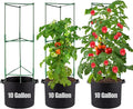 PASARA Tomato Cages with Grow Bags - 50 Inches Tomato Trellis for Raised Garden Bed, 3-Pack Tomato Plant Support, with 10 Gallon Plant Grow Bags, Reusable and Height Adjustable