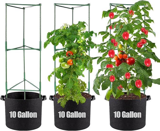 PASARA Tomato Cages with Grow Bags - 50 Inches Tomato Trellis for Raised Garden Bed, 3-Pack Tomato Plant Support, with 10 Gallon Plant Grow Bags, Reusable and Height Adjustable