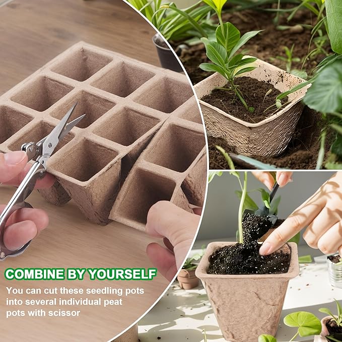 QDBNW 120 Cells Seed Starter Tray Kit, Biodegradable Peat Pots for Seedlings Trays, Plant Starter Seed Germination Kit with 20 Labels and 2 Transplant Tools (10, 120 Cells)