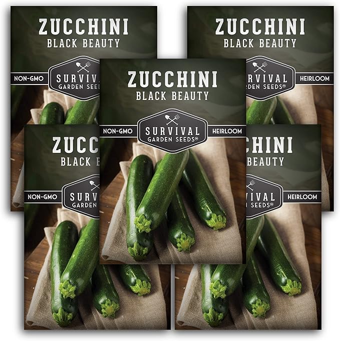 Survival Garden Seeds - Black Beauty Zucchini Seed for Planting - 5 Packs with Instructions to Plant & Grow Dark Green Summer Squash Plants in Your Home Vegetable Garden - Non-GMO Heirloom Variety