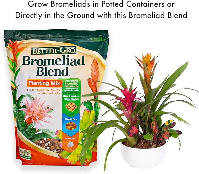 Better-GRO Bromeliad Blend 8 Quart