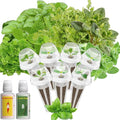 inbloom 12-Pod Gourmet Herb Basil Seed Pod Kit for AeroGarden, Ahopegarden Hydroponic Garden, Basil, Mint, Cilantro, Parsley, Shiso, Chicory, Liquorice, 400+ Seeds