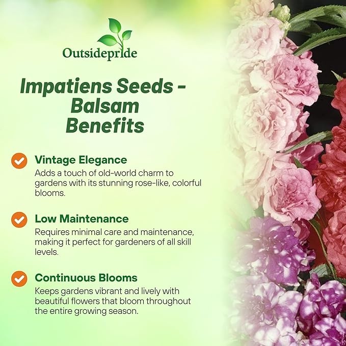 Outsidepride Balsam Impatiens Flower Seeds - 1000 Pcs Annual, Compact & Pollinator Friendly, Impatiens Seeds for Planting w/Vibrant, Abundant Blooms for Shade Gardens & Container Displays