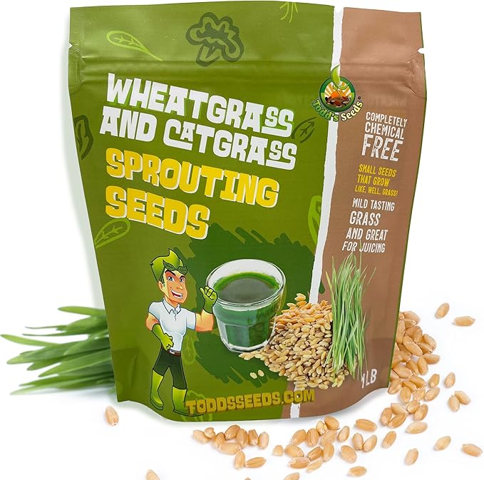 Todd's Seeds - Bundled Wheatgrass Seeds, 1Lb & Chemical Free Alfalfa Sprouting Seeds, 1Lb, Total of 2 Lbs