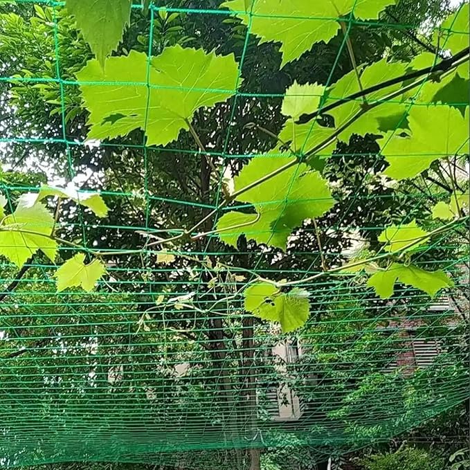 Heavy-Duty 27 Strands Nylon Trellis Netting, 16.5x6.6Ft Climbing Plant Support, 4x4 Inch Mesh for Vines Tomatoes, Cucumbers, Peas, and Beans