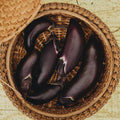 Fengyuan Purple Eggplant - 25 Seeds - Heirloom & Open-Pollinated Variety, USA-Grown, Non-GMO Vegetable Seeds for Planting Outdoors in The Home Garden, Thresh Seed Company