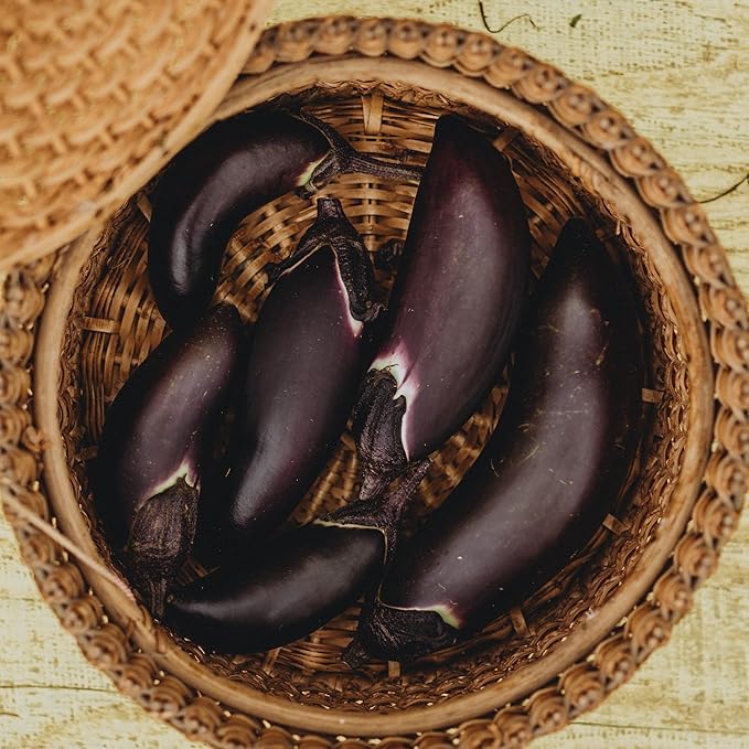 Fengyuan Purple Eggplant - 25 Seeds - Heirloom & Open-Pollinated Variety, USA-Grown, Non-GMO Vegetable Seeds for Planting Outdoors in The Home Garden, Thresh Seed Company