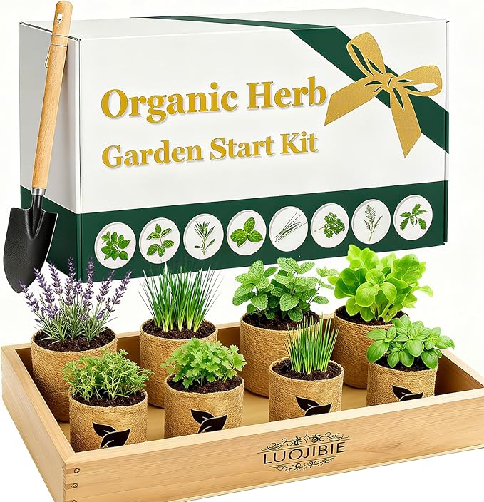 Organic Indoor Herb Garden Start Kit - Unique Gifts for Women, Valentine's Day Gift, Easy House Plant- Birthday for Women,House Warming Gift New Home- Fresh Herb Garden DIY Crafts for Adults