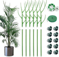 6 Pack 27.56" Detachable Twig Plant Support Stakes Set, Blends in to Plant, Branch Plant Sticks with Orchid Clips Twist Plant Ties, Twig Trellis for Indoor Outdoor Plants Potted Plants Flower