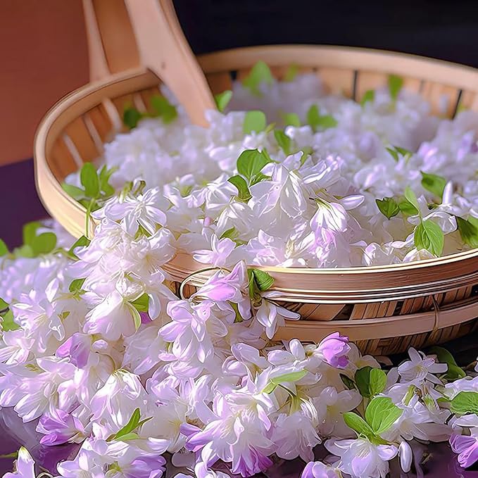 Mixrug 150pcs Mix Jasmine Flower Seeds for Planting, Perennial Fragrant Climbing Jasmine Flower Seeds Plants, Non-GMO Heirloom Beauty Windmill Climber Flowers in Home Garden Outdoors