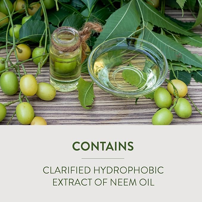 Garden Safe Neem Oil Extract Concentrate, For Organic Gardening, Fungicide, Insecticide, Miticide, Neem Oil For Plants, 10 fl Ounce