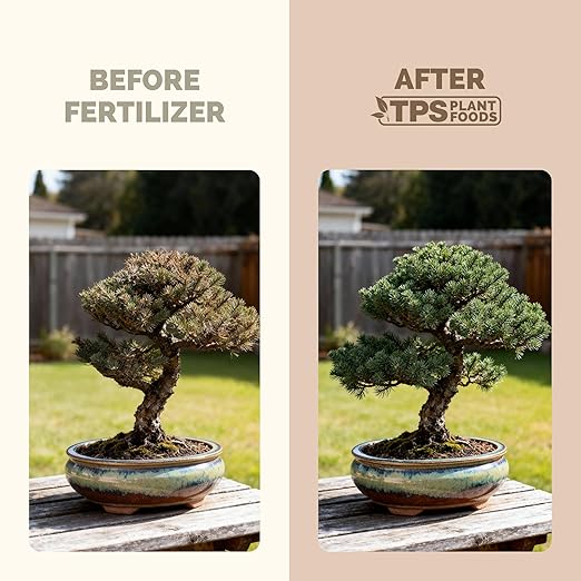 Bonsai Fertilizer – Liquid Plant Food for Healthy Growth, Vibrant Foliage & Stronger Root Development, 1 Gallon