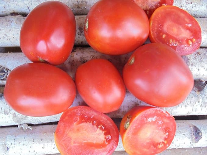 CEMEHA SEEDS - Seeds Red De-Barao Tomato Determinate Non GMO Vegetable for Planting