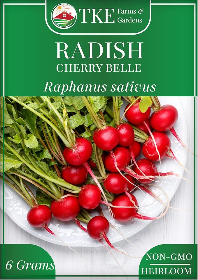 TKE Farms & Gardens Cherry Belle Radish Seeds – 500+ Non-GMO Heirloom Seeds, Fast-Growing, Crisp & Mild Flavor, Perfect for Salads, Easy to Grow in Gardens or Containers, Instructions Included