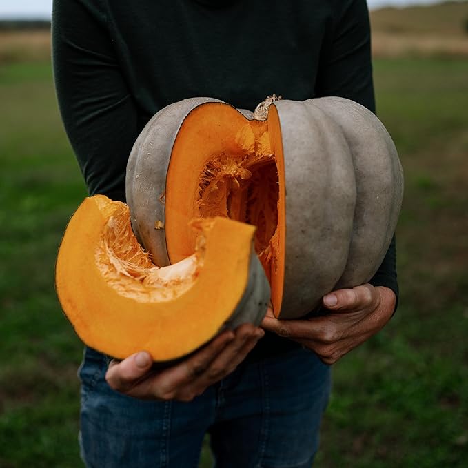 Jarrahdale Blue Pumpkin Winter Squash - 25 Seeds - Heirloom & Open-Pollinated Variety, Easy-to-Grow, Non-GMO Vegetable Seeds for Planting Outdoors in The Home Garden, Thresh Seed Company