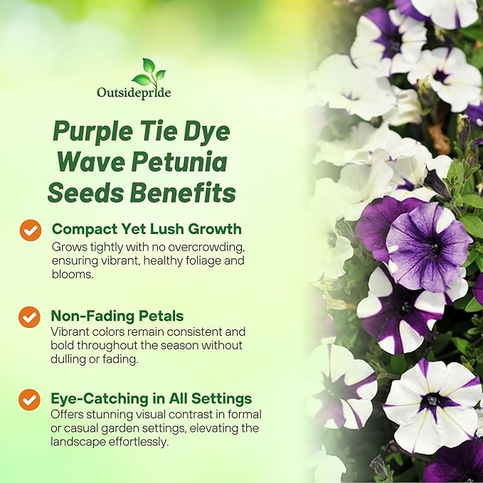 Outsidepride Purple Tie Dye Shock Wave Petunia Seeds - 30 Pcs. Annual, Compact & Spreading Flower Seeds for Planting Low Growing Vibrant Blooms, Garden Beds, Hanging Baskets & Container Displays