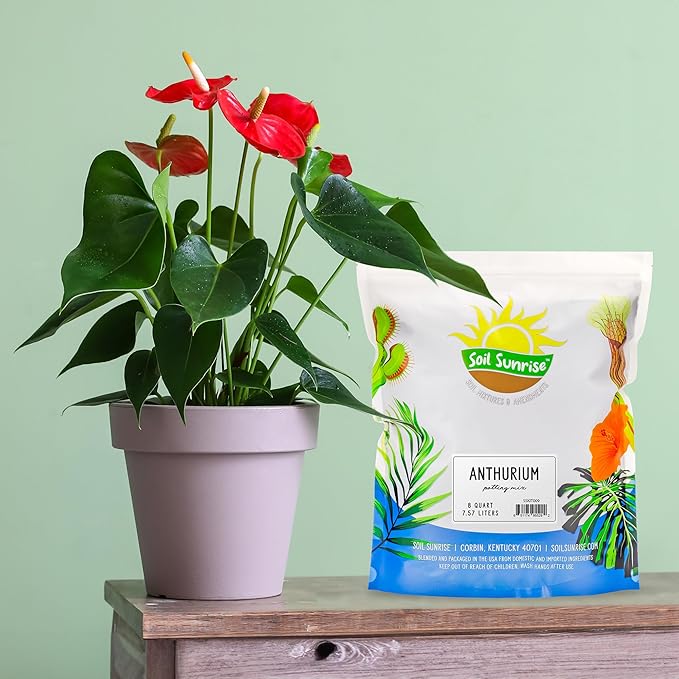 Soil Sunrise Anthurium Plant Potting Soil Mix (8 Quarts) Indoor Houseplant Custom Blend for Flowering Anthuriums