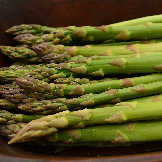 Mary Washington Asparagus - 100 Seeds - Heirloom & Open-Pollinated Variety, Non-GMO Vegetable Seeds for Planting Outdoors in The Home Garden, Thresh Seed Company